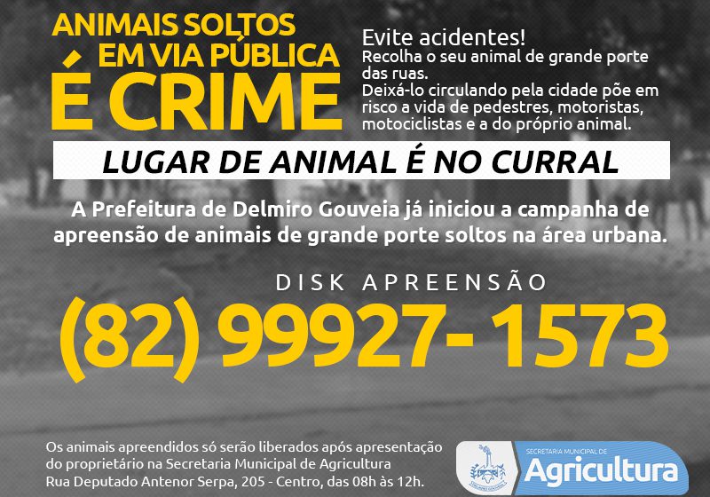  Secretaria Municipal de Agricultura divulga telefone para serviço de captura de animais de grande porte