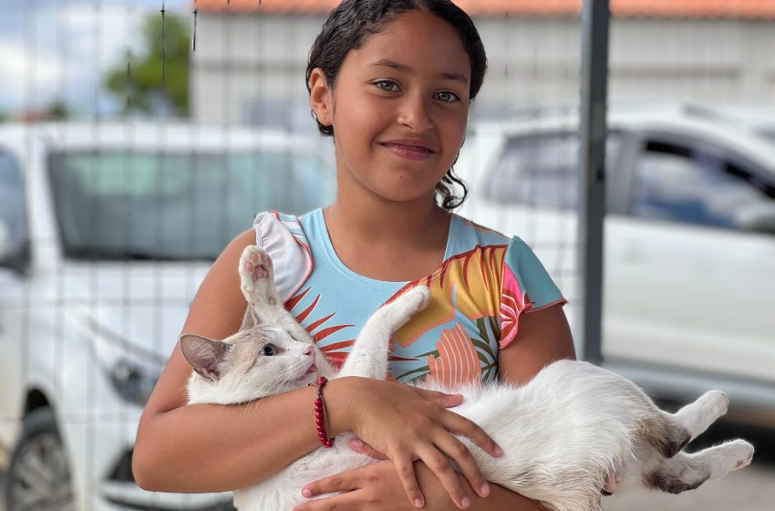 Castração gratuita beneficia dezenas de animais no Distrito Sinimbu neste sábado (24)